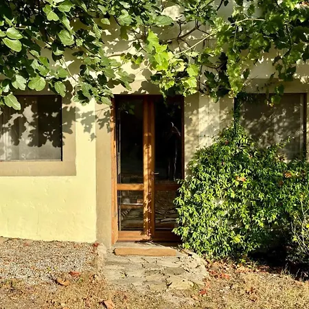 Проживание в семье Casa Boschi *